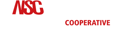 National Service Corporation